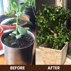 (Pack of 2) Soil Activated Treasure – Organic Soil Activator to Loosen Hard Soil, Boost Root Growth & Make Plants Healthy