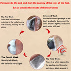 BUY 1 PACK GET 1 FREE 100% Herbal & Gentle Ingredient Detox Foot Pads (1 BOX = 20 PATCHES)