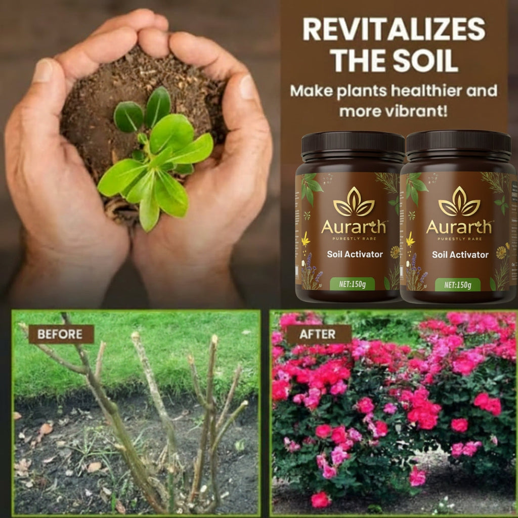 (Pack of 2) Soil Activated Treasure – Organic Soil Activator to Loosen Hard Soil, Boost Root Growth & Make Plants Healthy