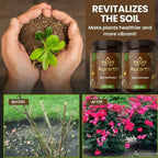 (Pack of 2) Soil Activated Treasure – Organic Soil Activator to Loosen Hard Soil, Boost Root Growth & Make Plants Healthy