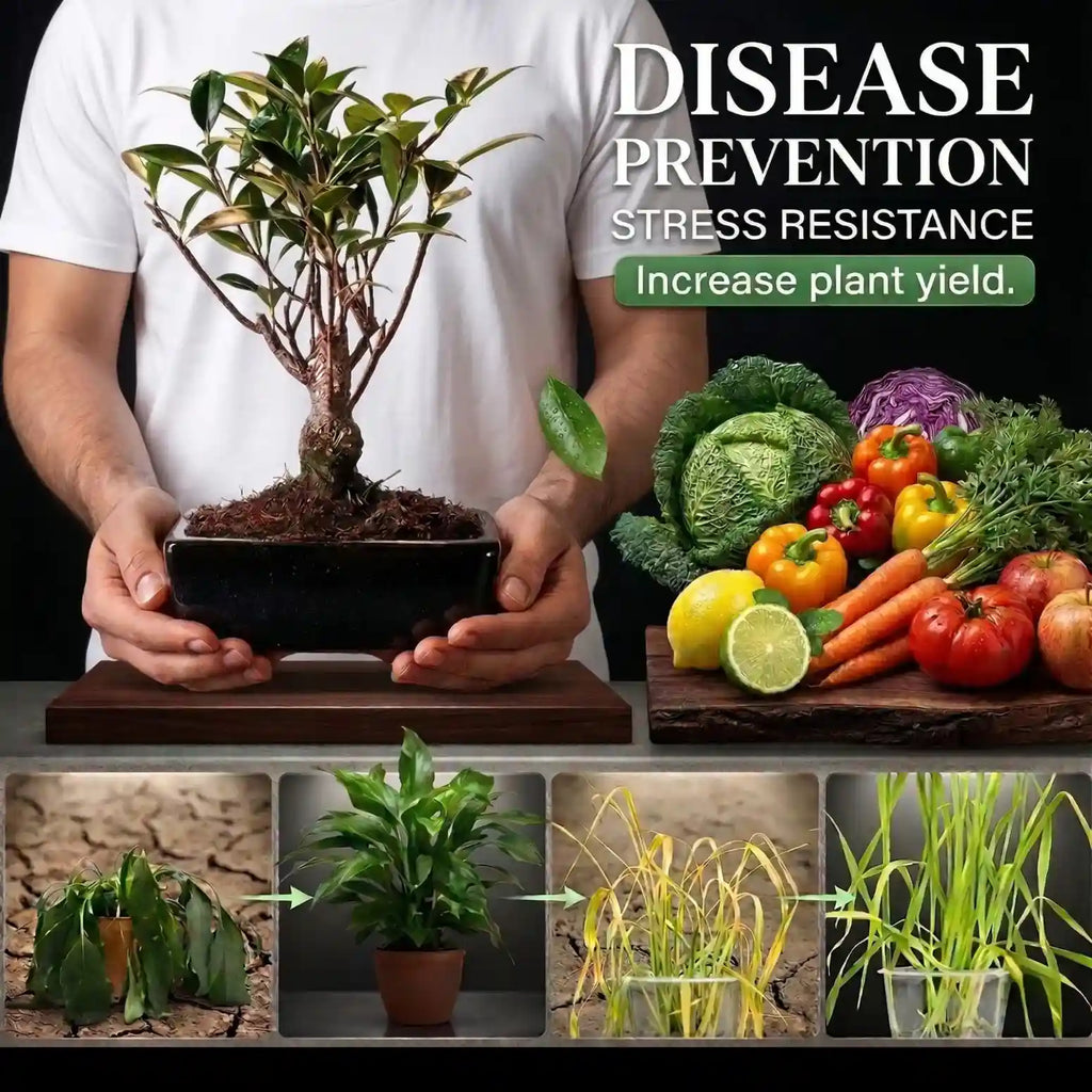 (Pack of 2) Soil Activated Treasure – Organic Soil Activator to Loosen Hard Soil, Boost Root Growth & Make Plants Healthy