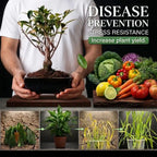 (Pack of 2) Soil Activated Treasure – Organic Soil Activator to Loosen Hard Soil, Boost Root Growth & Make Plants Healthy